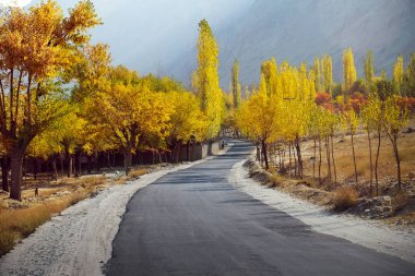 Renkli Ağaçlar Sonbahar sezonu boyunca Skardu boş yolda. Gilgit Baltistan, Pakistan.
