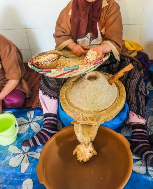 Moroccan woman shows argan kernels and put them into the grinder. Essaouira, Morocco. clipart