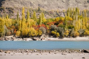 Doğa manzara görünümünü Ghanche sonbahar sezonu. Renkli ağaçlar turkuaz nehir ve dağ içinde belgili tanımlık geçmiş. Gilgit Baltistan, Pakistan.