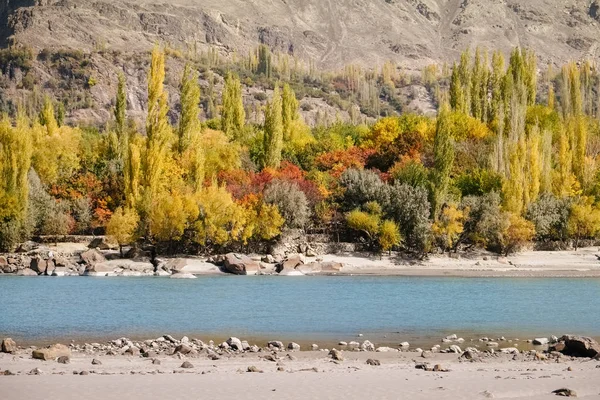 Doğa manzara görünümünü Ghanche sonbahar sezonu. Renkli ağaçlar turkuaz nehir ve dağ içinde belgili tanımlık geçmiş. Gilgit Baltistan, Pakistan.