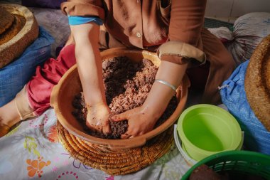 Yerel Fas kadın el-yoğurma Argan Yağlı hamur amacıyla Argan yağı ayıklamak için. Essaouira, Fas.