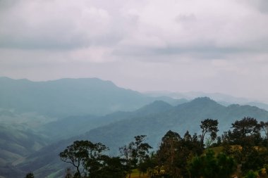 Yeşil orman ve Sıradağlar, şafakta Khun Sathan Milli Parkı. Nan Province, Tayland.