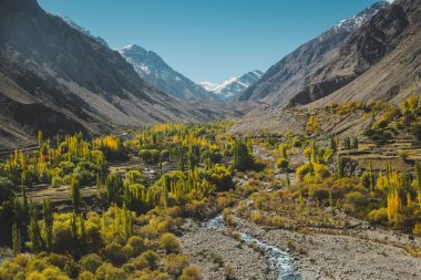 Karakoram aralığında dağlarla çevrili bir dere ile sonbaharda sarı ve yeşil yapraklarıdoğa manzara görünümü, Skardu. Gilgit Baltistan, Pakistan.