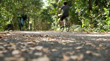 Asya insanlar temiz hava ve kirlilik ücretsiz yemyeşil ormanda yolda bisiklete binerek egzersiz. Konsept spor sağlıklı yaşam tarzı.
