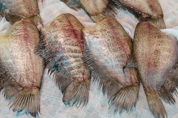 Sun Dried Salty Raw Snakeskin Gourami Fishes Sale Local Fresh — Stock Photo, Image