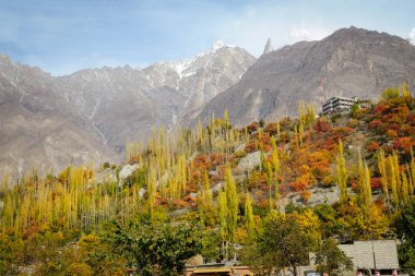 Karakoram sıradağları ve mavi gökyüzüne karşı Hunza vadisinde renkli orman ağaçlarının doğa manzara görünümü. Gilgit Baltistan, Kuzey Pakistan.