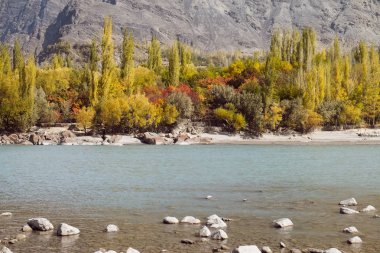 Ghanche 'ın sonbahar sezonundaki doğa manzarası. Arkasında turkuaz rengi Shyok nehri ve dağ olan renkli ağaçlar. Gilgit Baltistan, Pakistan.