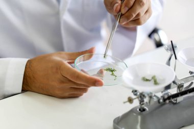 Kimyasal tüp geliştirme ve eczane laboratuvar, Biyokimya ve araştırma teknoloji kavramı.