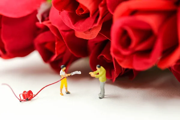 Personas Miniatura Jardineros Con Rosas Rojas —  Fotos de Stock