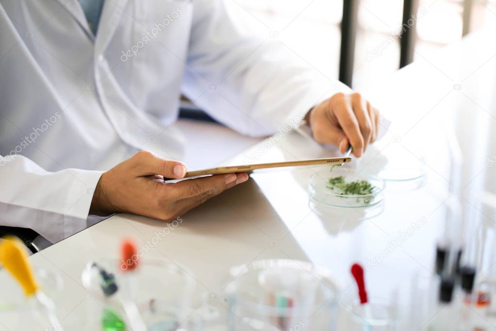Set of Chemical tube development and pharmacy in laboratory,biochemistry and research technology concept.