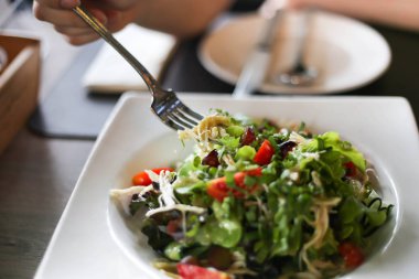Tavuk, fındık, yumurta ve sebze ile lezzetli salata taze Sal