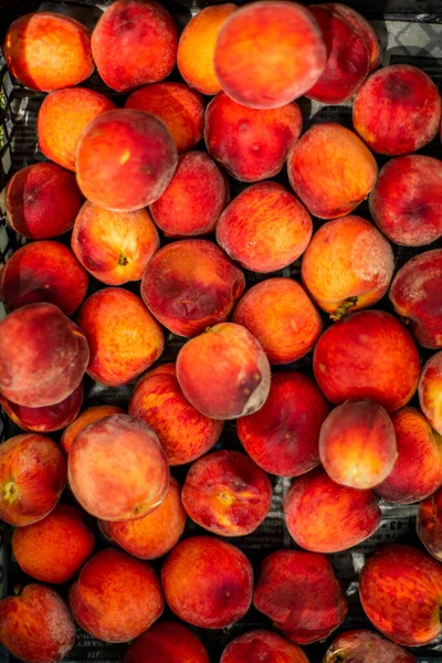 Fresh sweet ripe peaches as background. High quality photo