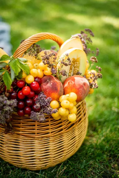 Korb Mit Frischem Bio Obst Garten Hochwertiges Foto — Stockfoto