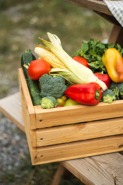 A box with a harvest of vegetables is on the street. Peppers, corn, broccoli, tomatoes and herbs inside the box. Autumn harvest. — Stock Photo, Image