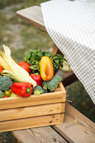 A box with a harvest of vegetables is on the street. Peppers, corn, broccoli, tomatoes and herbs inside the box. Autumn harvest.