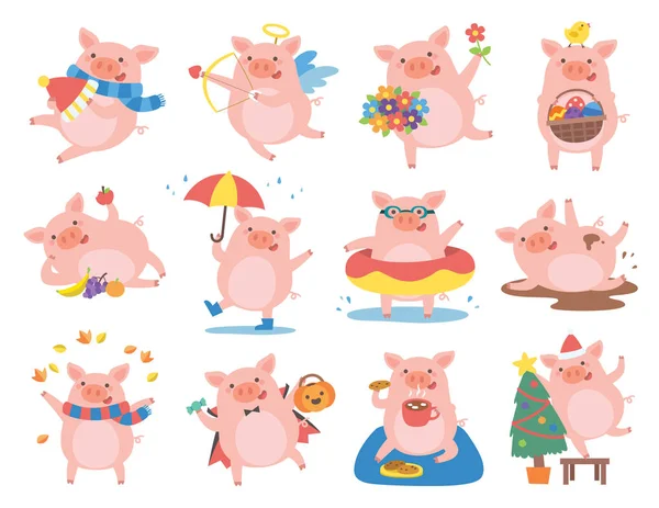 可爱的猪在不同的情况下 年的标志在中国2019年 — 图库矢量图片