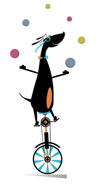 Grappige Hond Rijdt Eenwieler Jongleert Illustratie Van Ballen Equilibrist Hond — Stockvector