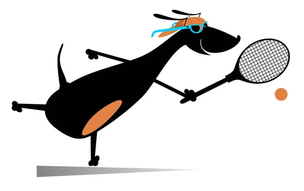Hond Speelt Tennis Cartoon Afbeelding Cartoon Teckel Een Tennisspeelster Geïsoleerd — Stockvector