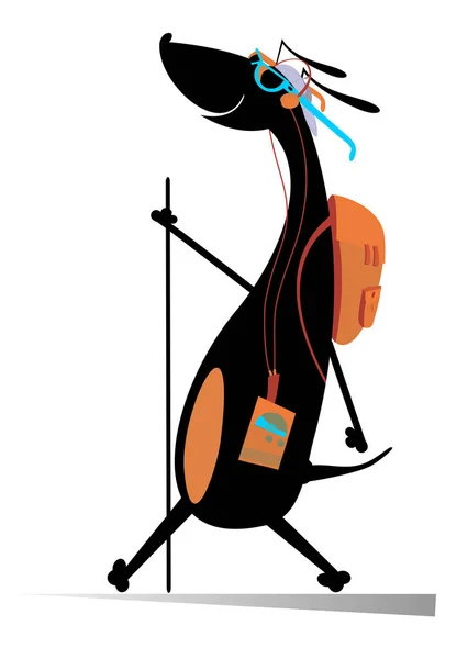 Пешеходная Собака Рюкзак Трость Иллюстрация Музыкального Проигрывателя Пешие Прогулки Улыбающейся — стоковый вектор