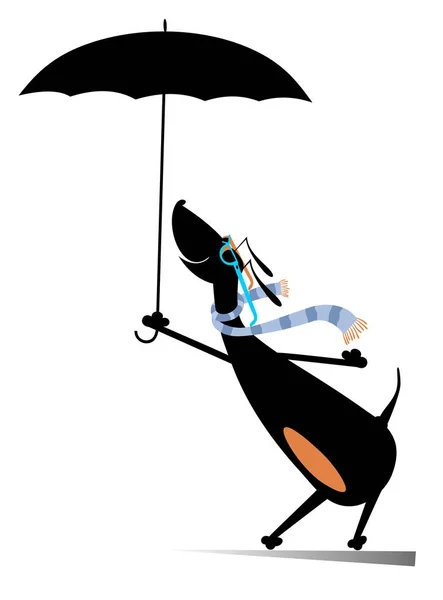 Día Lluvioso Perro Con Ilustración Paraguas Dachshund Con Paraguas Permaneciendo — Vector de stock