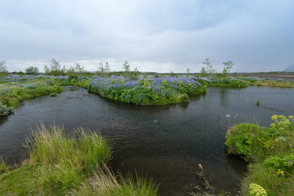 Typische Landschaft Islands Europas — Stockfoto