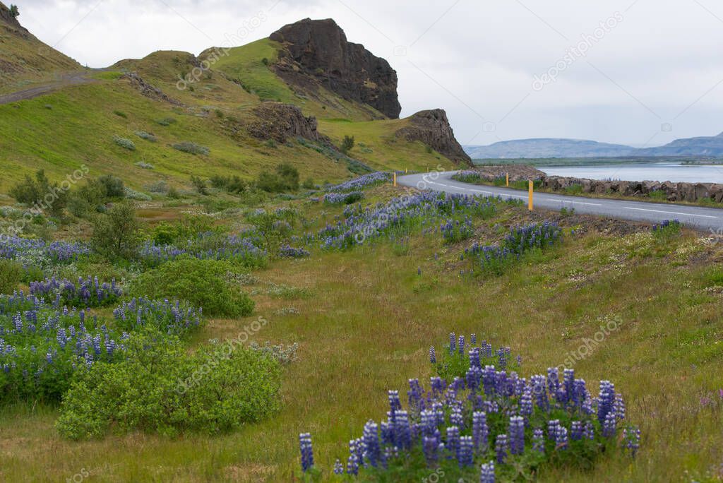 typical landscape iof Iceland, Europe