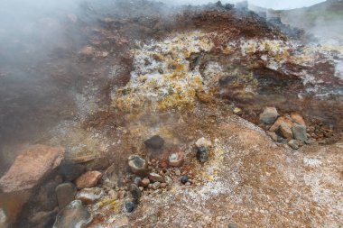 İzlanda 'daki tipik manzara