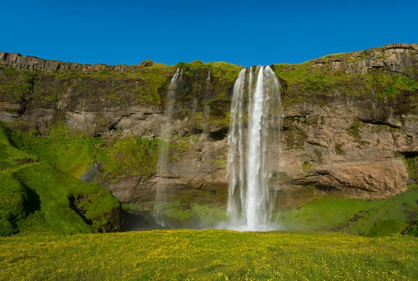 Seljalandsfoss Vízesés Izland Déli Partjainál — Stock Fotó