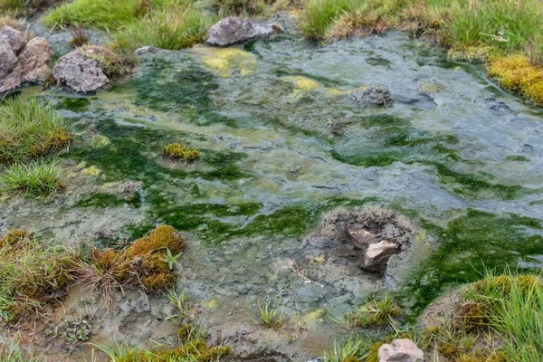 Typisch Landschap Ijsland — Stockfoto