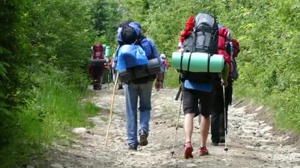 Personas Con Mochilas Las Montañas Los Cárpatos — Vídeos de Stock