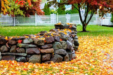 Bu görüntü sabah Boston Common parkta kış sabahları sadece kar yağdı sonra çekildi.