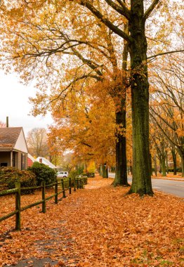 Bu görüntü sabah Boston Common parkta kış sabahları sadece kar yağdı sonra çekildi.
