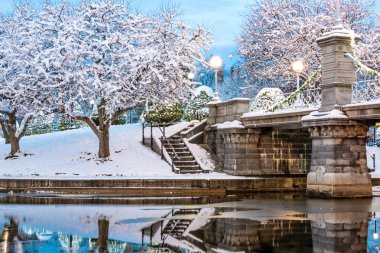 Bir kar fırtınası Boston vurduktan sonra bu güzel fotoğraf çekildi. İnsanlar uyanmadan önce parkta vurmak için dışarı gitti.