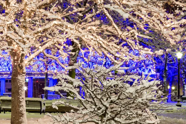 Frozen Trees Were Taken Christmas Holiday Season Downtown Boston — Stock Photo, Image
