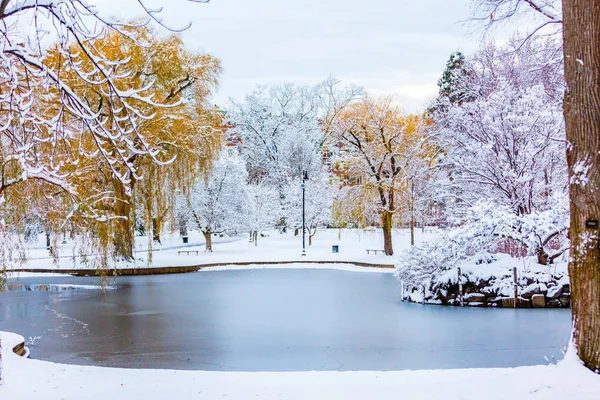 Bu görüntü sabah Boston Common parkta kış sabahları sadece kar yağdı sonra çekildi.