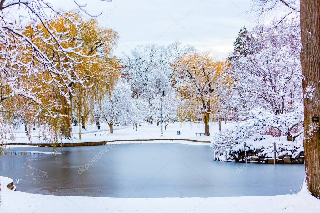 This image was taken in the morning just after it snowed in Boston Common Park in the winter morning.