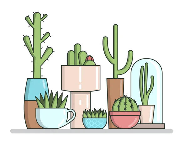 Cactus de interior en macetas ilustración vectorial plana — Archivo Imágenes Vectoriales