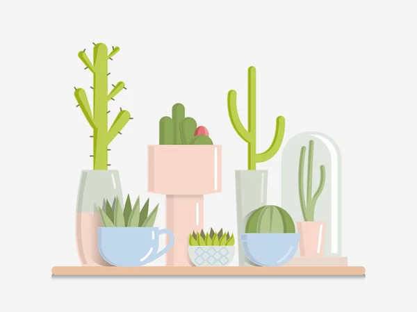 Set cactus in potten. Platte vectorillustratie. — Stockvector