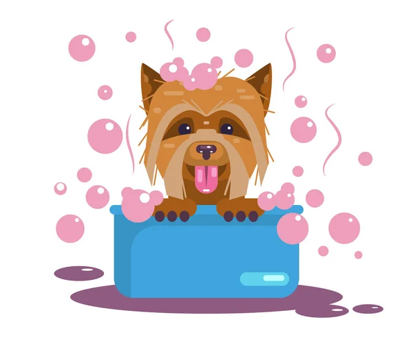 Honden verzorgen. Puppy wassen. Grappige snuit — Stockvector