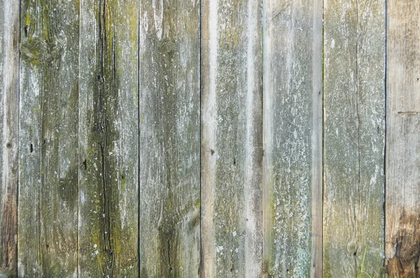 Kahverengi doğal ahşap doku ve arka plan, çam levha ve iğne yapraklı çit, yeşil yosun, tasarım için