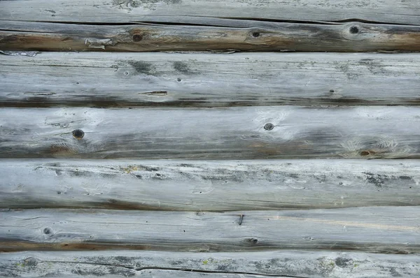 Eski bir ahşap meşe günlükleri doku. Derin bir çatlak ile kabuğu olmayan eski bir ağacın gövdesi. Bir doku olarak kullanılmak üzere doğal bir eski ahşap gövde bir fotoğraf