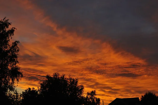 Doku, arka plan, desen. Gökyüzü gün batımında, şafakta. Renkli bulutlar, kırmızı, turuncu, pastel renkler. Alacakaranlıkta romantik pastel gökyüzü. dinamik dramatik etkileyici bulutlar ile gökyüzü