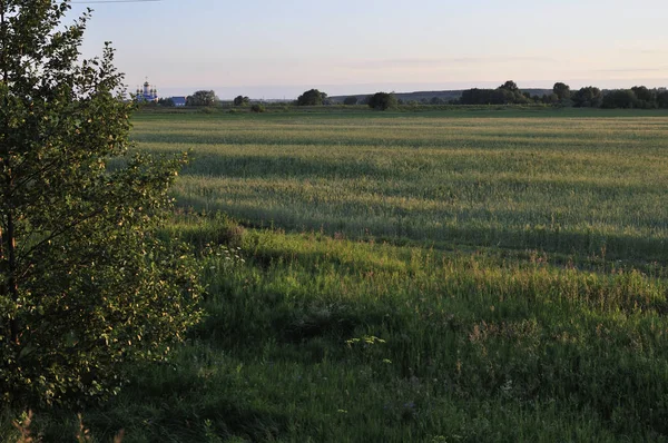 Yaz aylarında mavi gökyüzünde sadece açık yeşil, sarı alan orman ve bulutlar, güneşli bir gün. Hava güzel. Uzak tepeler, ağaçlar. Gizemli, büyülü, fantastik panoramik manzara yer. Fotoğraf arka planı