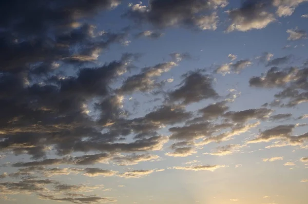 Kırsal kesimde gün doğumu. Bir gün doğar. Güneşin güneşin karanlıkla olan turuncu zıtlığı. Bu manzarayı güzel bir şey yapıyor. Siyah güneşle birlikte erir.