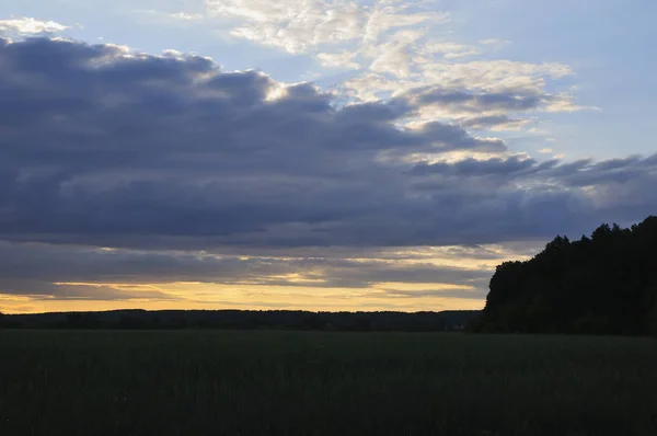Kırsal kesimde gün doğumu. Bir gün doğar. Güneşin güneşin karanlıkla olan turuncu zıtlığı. Bu manzarayı güzel bir şey yapıyor. Siyah güneşle birlikte erir.