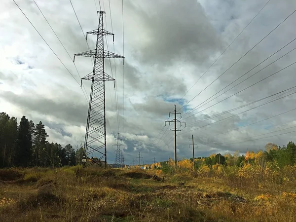 Power Lines Forest Autumn Clouds — Stock Photo, Image