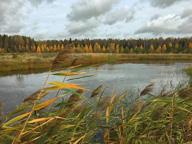 Güzel bulutlar göle sonbaharda yansıtılır