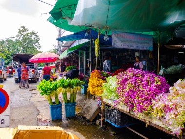 Renkli çiçekler, çiçek pazarı, kültür, Eylül. Chiang Mai Tayland, çiçek pazarı, birçok renkli çiçek. Çiçek çiçekçi Gelin buketleri yapılması için hazır