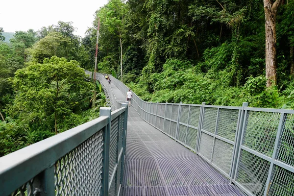 Catwalk of Tree Canopy Walkway, The Iron Bridge in the tropical forest. Tree Canopy Walkway, The Iron Bridge in the tropical forest at Queen Sirikit Botanic Garden, Chiang Mai, Thailand