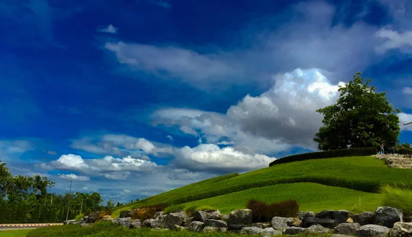 Yaz Ağaçlar Hill Mavi Gökyüzü Bir Yeşil Ağaç Bir Tepe — Stok fotoğraf